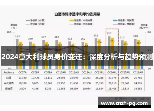 2024意大利球员身价变迁：深度分析与趋势预测