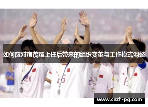 如何应对宿茂臻上任后带来的组织变革与工作模式调整