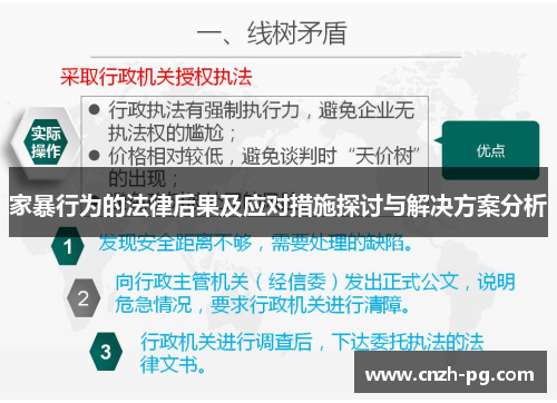 家暴行为的法律后果及应对措施探讨与解决方案分析