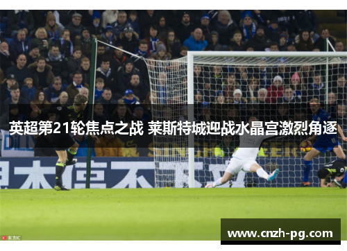 英超第21轮焦点之战 莱斯特城迎战水晶宫激烈角逐 英超第21轮焦点之战 莱斯特城迎战水晶宫激烈角逐