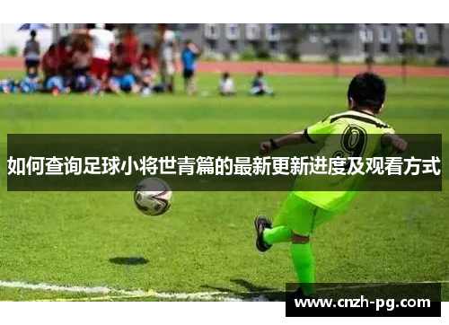 如何查询足球小将世青篇的最新更新进度及观看方式