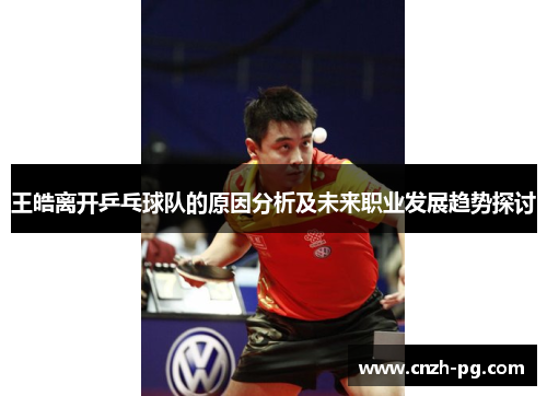 王皓离开乒乓球队的原因分析及未来职业发展趋势探讨