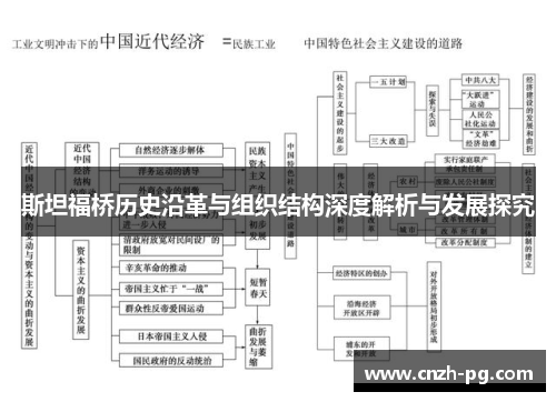 斯坦福桥历史沿革与组织结构深度解析与发展探究